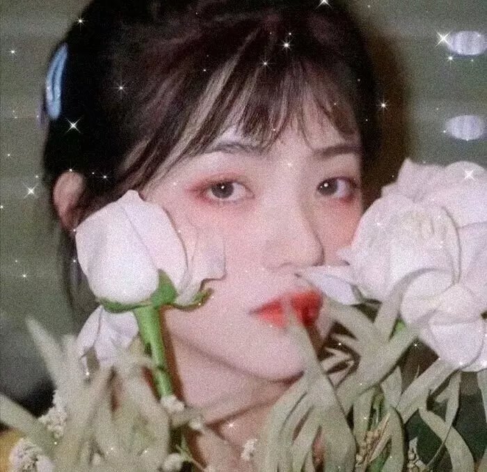 红粉侦探