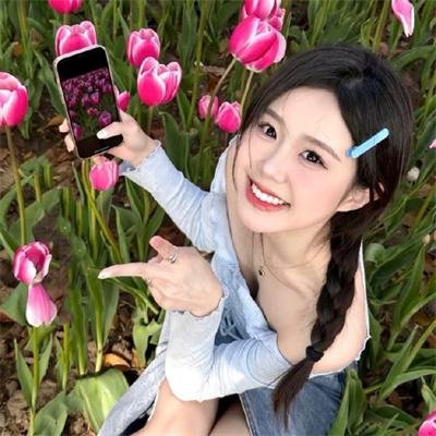 听风的歌
